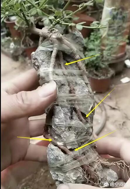 原石做摆件最好的处理方式,你对于原石和打磨是怎么看？