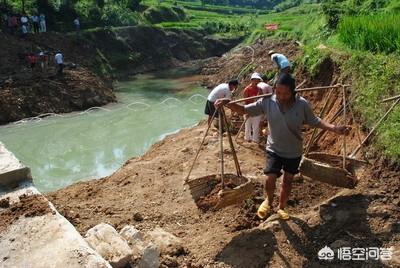 冷水性鱼类养殖学:冷水塘，草鱼长不大，养什么鱼更好？