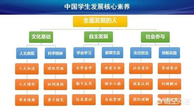 博士技术创业，本人985博士，可以帮我分析下未来就业的方向吗