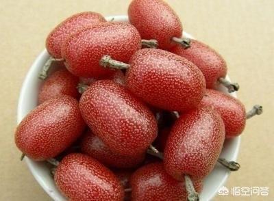 有哪些名字非常好听的水果品种(简单好听的水果微信名)