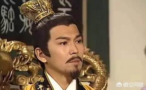 介绍白卷毛狗的特点:新手饲养狗狗，要注意的事情都有什么？