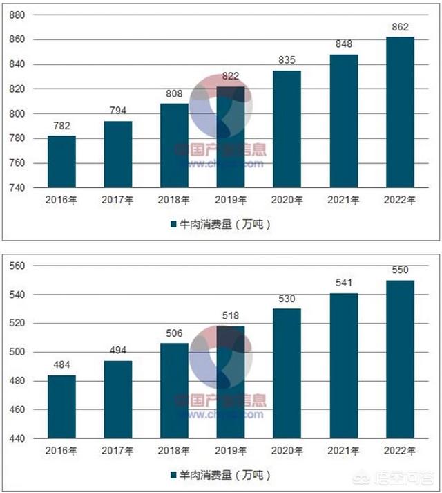 2020西施犬价格行情:明年的牛羊肉价格会怎么样？