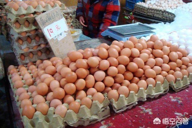 鸡蛋属于荤菜的理由是什么，鸡蛋鸭蛋鹅蛋属于荤菜还是素菜