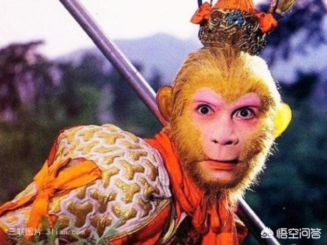 林黑儿标本还在吗？