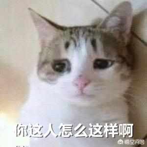 微信爱情表情图片大全:你最喜欢的<a href=https://maguai.com/list/39-0-0.html target=_blank class=infotextkey>搞笑</a>表情包是哪一张？(表情包 搞怪 表情)