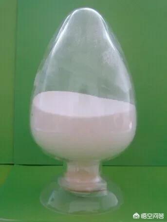 最近甲壳素这么火，甲壳素到底有什么作用？