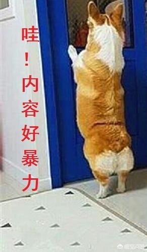 北京地铁灵异事件图片:历史上有哪些诡异的都市传说？