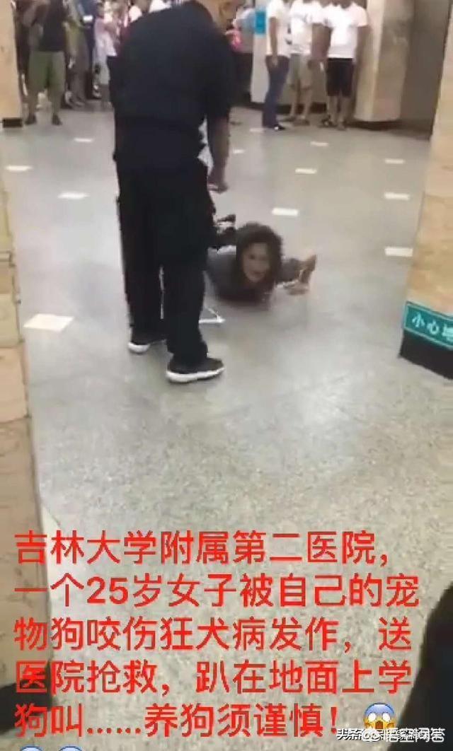 小姐与流浪狗44:在城市遛狗，你看到多少人清理过狗屎和狗尿？如何评价这种现象？ 小姐与流浪狗4