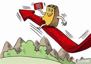 有人说未来几十年，股市投资将成为大众实现财富增值的主要方式，你怎么看？插图12