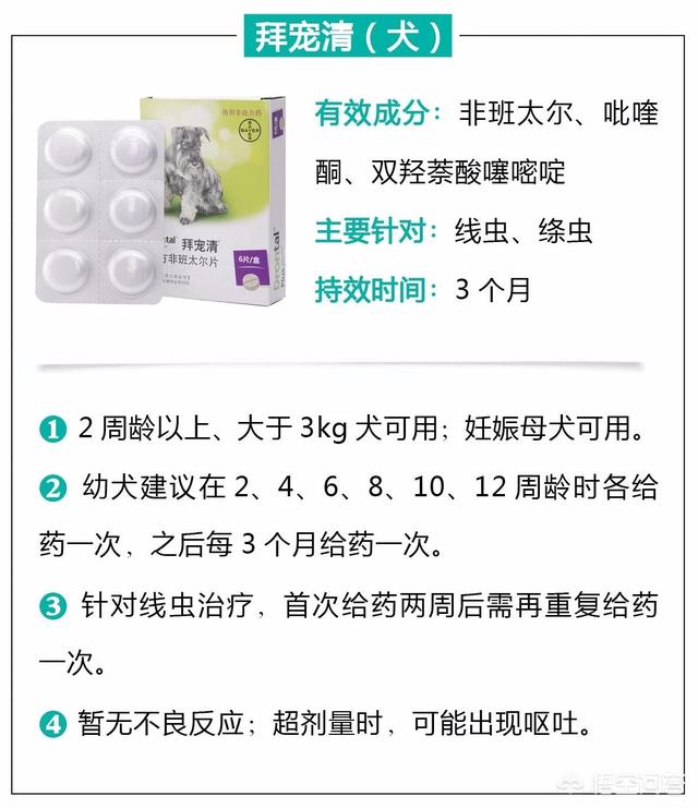 人舔了博来恩驱虫药:博来恩驱虫药使用方法 猫咪吃了驱虫药一定会排出虫子么？