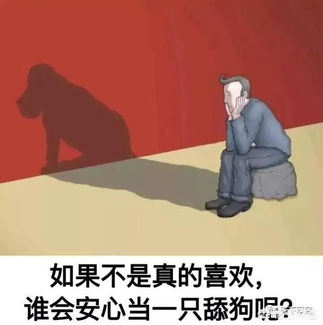 守望犬:在爱情中舔狗必死无疑吗？