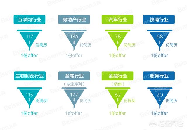 造福鸟招聘:乌鸦和喜鹊可以共同生活吗？ 缤纷鸟招聘