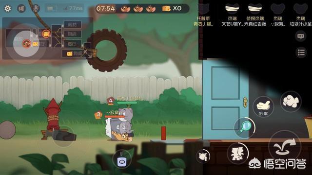 天眼猫 网易:网上叫嚣着国产猫粮不好，养猫只能喂进口猫粮是什么心态？ 天眼猫智能锁