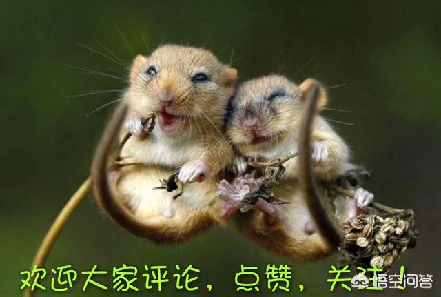 有哪些适合高三最后一周看的减压电影？（强调一下,我是班干,老师要求的。）？