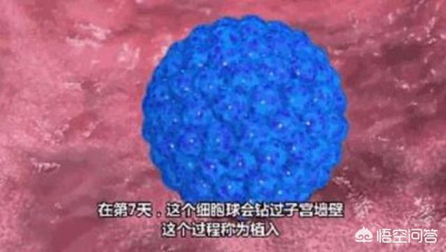 怎么让女生怀孕,哪些因素会导致女性怀不上孩子？