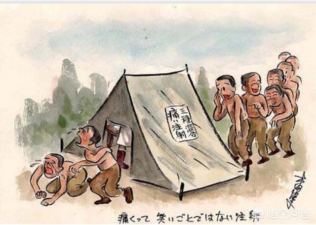 西伯利亚森林猫舍:60万日军俘虏去西伯利亚挖土豆，10年后为什么只回来50万？ Geniegoo西伯利亚森林猫舍