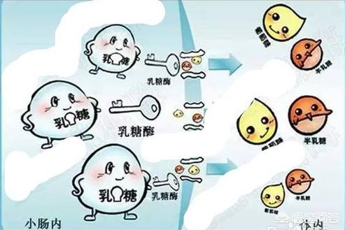 乳糖不耐受宝宝最常见的症状有哪些？插图47