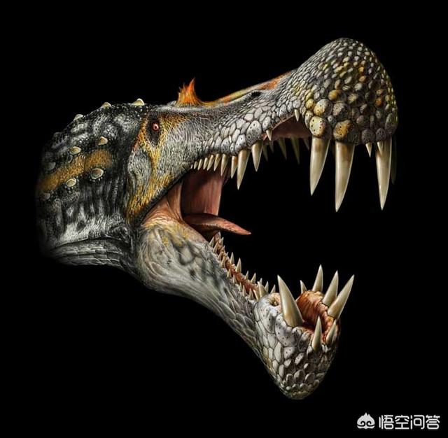 棘背龙的战力在恐龙中算什么地位？