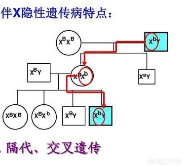 常见遗传病及其类型:常见的遗传性耳聋有哪些类型？