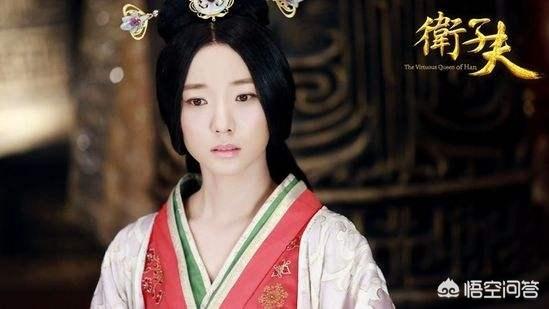 卫青与平阳公主:卫青的儿子是平阳公主生的吗？卫青有几个儿子？