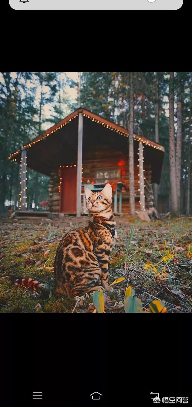 没有朋友,喜欢独处,不喜欢跟别人争论更不愿去计较,这样的人该怎么办？