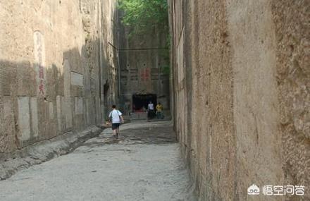 斗牛犬躲冰箱避暑视频:热死个人了，除了开空调，还能怎么降温？ 斗牛犬睡觉盖被子视频