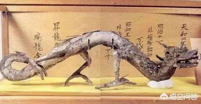 1934年营口坠龙:营口坠龙、松花江坠龙，为何历史上有那么多的坠龙事件？