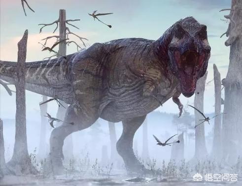 美国5只活恐龙，中国发现最强的食肉恐龙：诸城暴龙的战斗力算顶级吗？