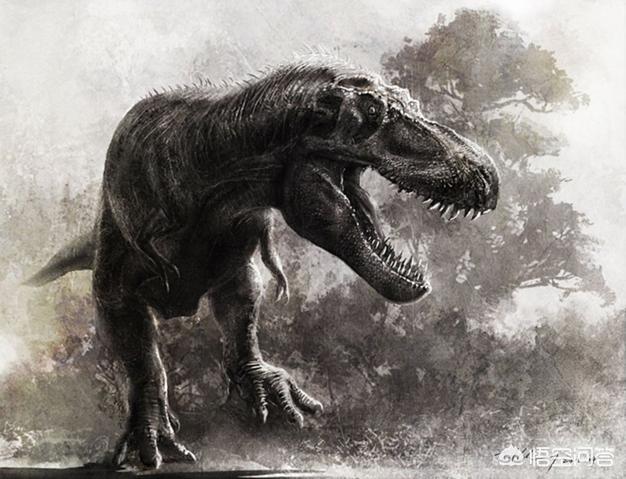 中国发现的活恐龙，中国发现最强的食肉恐龙：诸城暴龙的战斗力算顶级吗