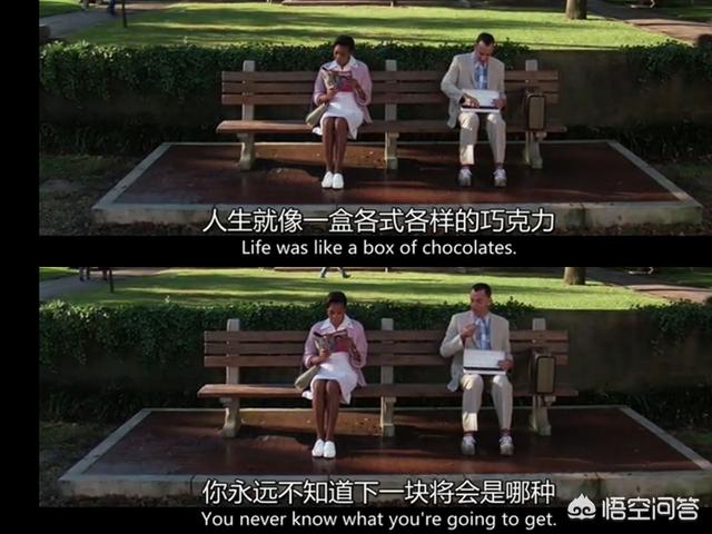 导盲犬珍妮在哭泣:《何以为家》可能会成为像《阿甘正传》一样的经典著作吗？