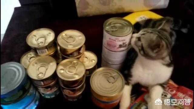 猫罐头推荐:求助万能的猫友们！猫罐头什么牌子好？