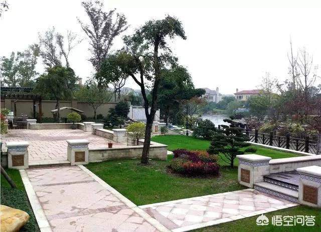 孟州滨河公园荷花花期多少天:孟州滨河公园赏荷花最好时间 河南有哪些赏花的好地方？