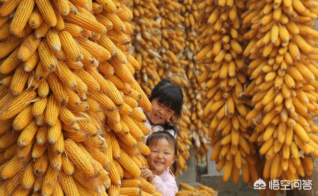 玉是什么时候发现的,与玉相关的故事你都知道哪些？