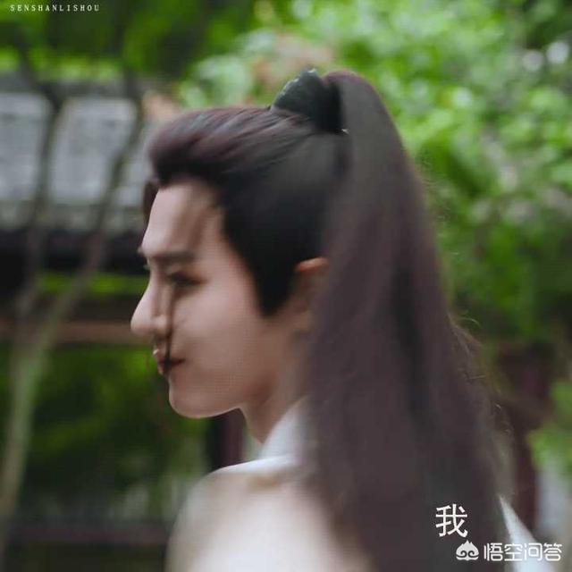 盲点美剧:如何评价影视剧《陈情令》