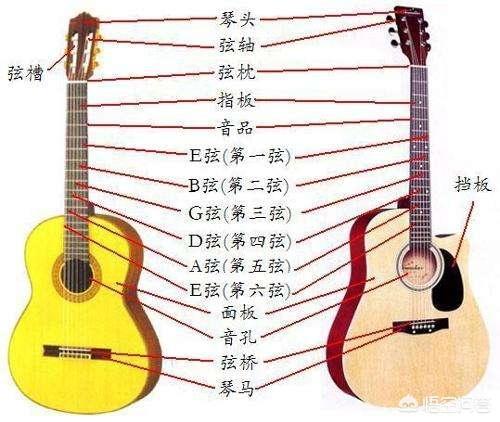 头条问答 - 零音乐基础但想学一种乐器,哪种容易上手?(5个回答)