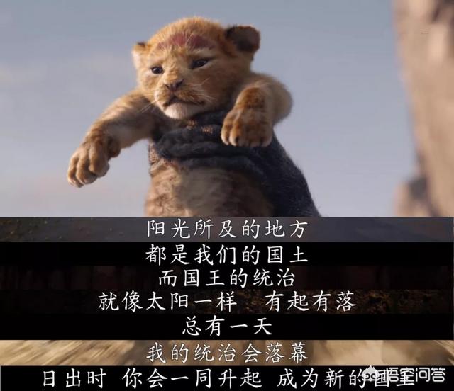 大象墓地:真的有那种大象死后都去的象冢吗