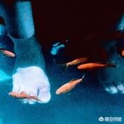 迈克尔安格拉诺:有什么适合学生看的电影？