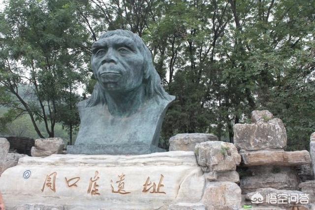 马鹿洞人:地球上本没有“人”，第一个“人”究竟是从何而来的？有定论吗？