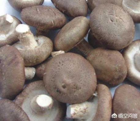椒盐平菇怎么做蓬松酥脆，蘑菇怎样油炸才能又酥又美味