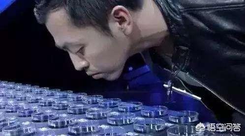 郎佳子彧:这届《最强大脑》里谁以后可能成为最大的情种？