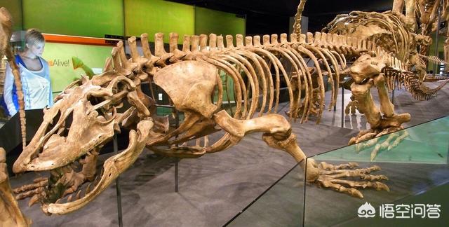 十大灭绝的可怕古生物，有哪些真实存在过的远古灭绝的动物