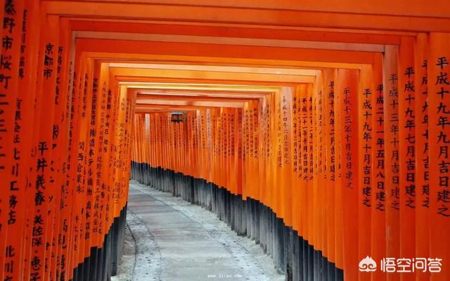 琴仙的小宠物饲养日记acg:第一次去日本自由行，需要如何做准备？