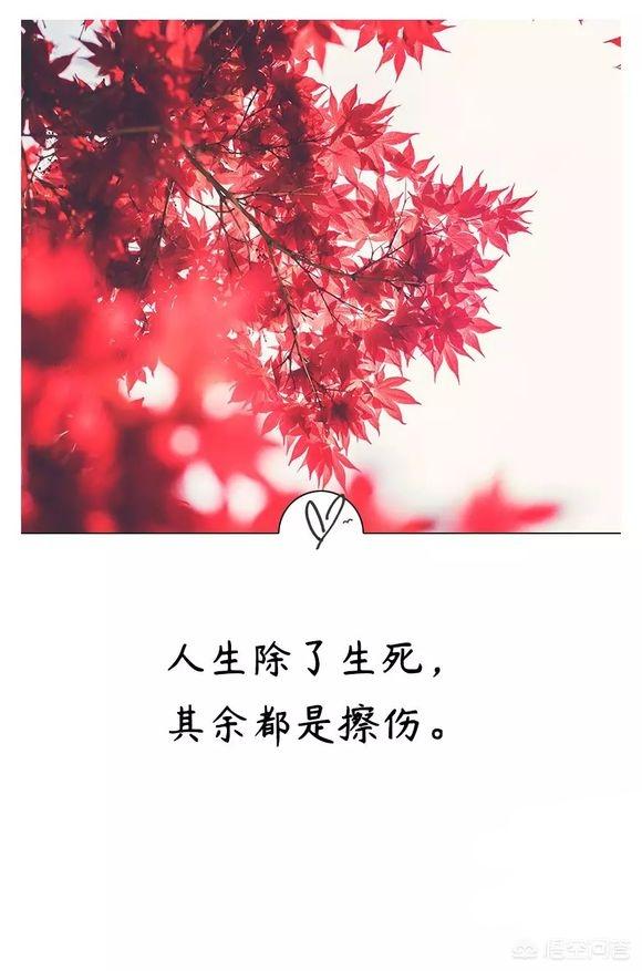 头条问答 如果正确解读 教父 这句台词 花半秒看透和花一辈子都看不清的人 注定不同的命运 可爱君ii的回答 0赞