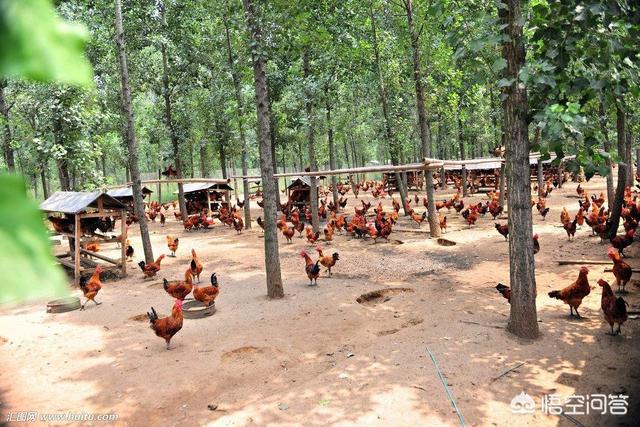 肉干销售渠道:快销食品的销售渠道有哪些？