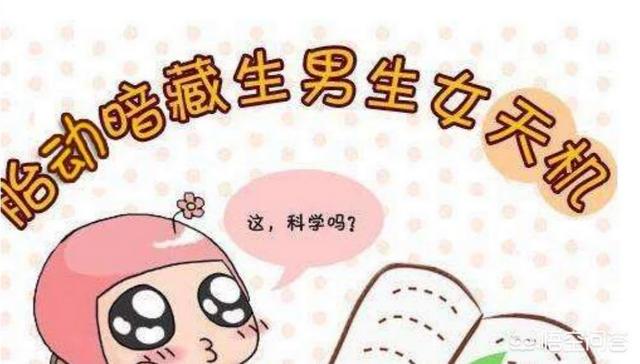头条问答 是不是男宝宝胎动会多一点 有何科学依据 墨妈育儿经的回答 0赞