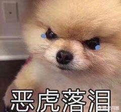 风靡<a href=https://maguai.com/list/256-0-0.html target=_blank class=infotextkey>朋友圈</a>表情包:大家都有什么表情包可以分享一下吗？