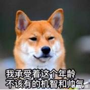 女人爱狗狗pp截图:为啥现在这么单身的漂亮女性都喜欢养狗，小泰迪尤其最多？