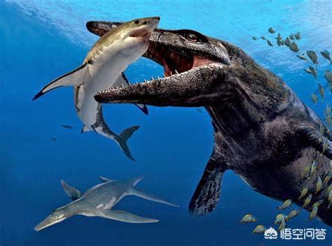 头条问答 - 都说虎鲸群很凶猛,如果远古时期的沧龙回归海洋,虎鲸会怕
