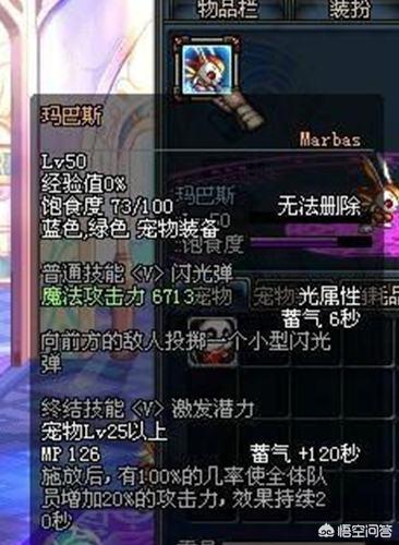 DNF有玩家发现新宠物,减少敌人16属性抗性,能取代白兔子成为奶爸新宠吗？