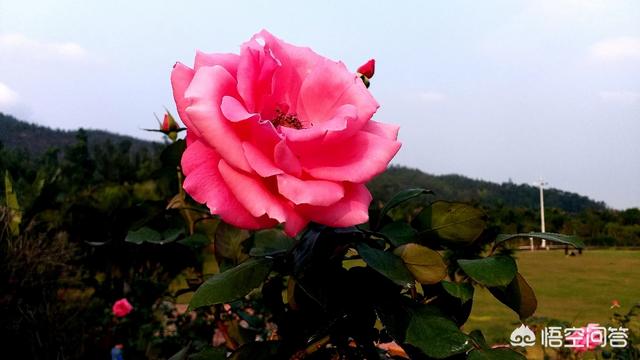 你能接受一个阅人无数的女人吗？